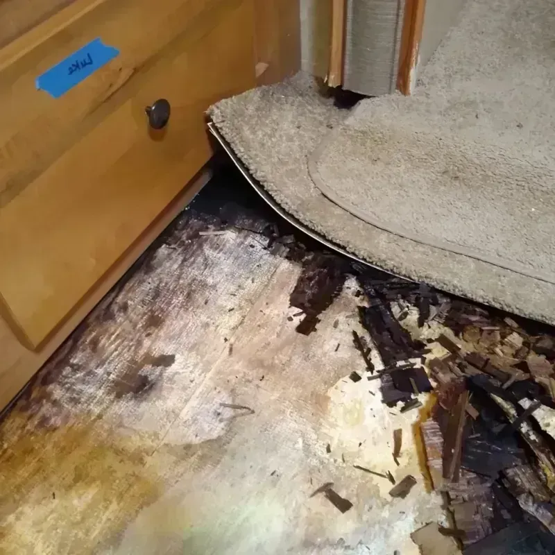 Best Wood Floor Water Damage Service in Cripple Creek, CO